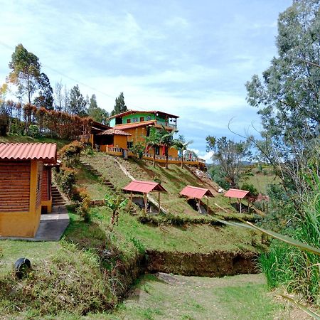 Vista Hermosa Eco Hostal Carmen de Viboral ภายนอก รูปภาพ