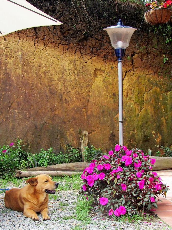 Vista Hermosa Eco Hostal Carmen de Viboral ภายนอก รูปภาพ