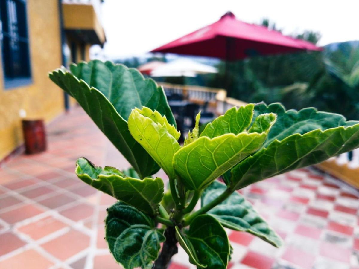 Vista Hermosa Eco Hostal Carmen de Viboral ภายนอก รูปภาพ