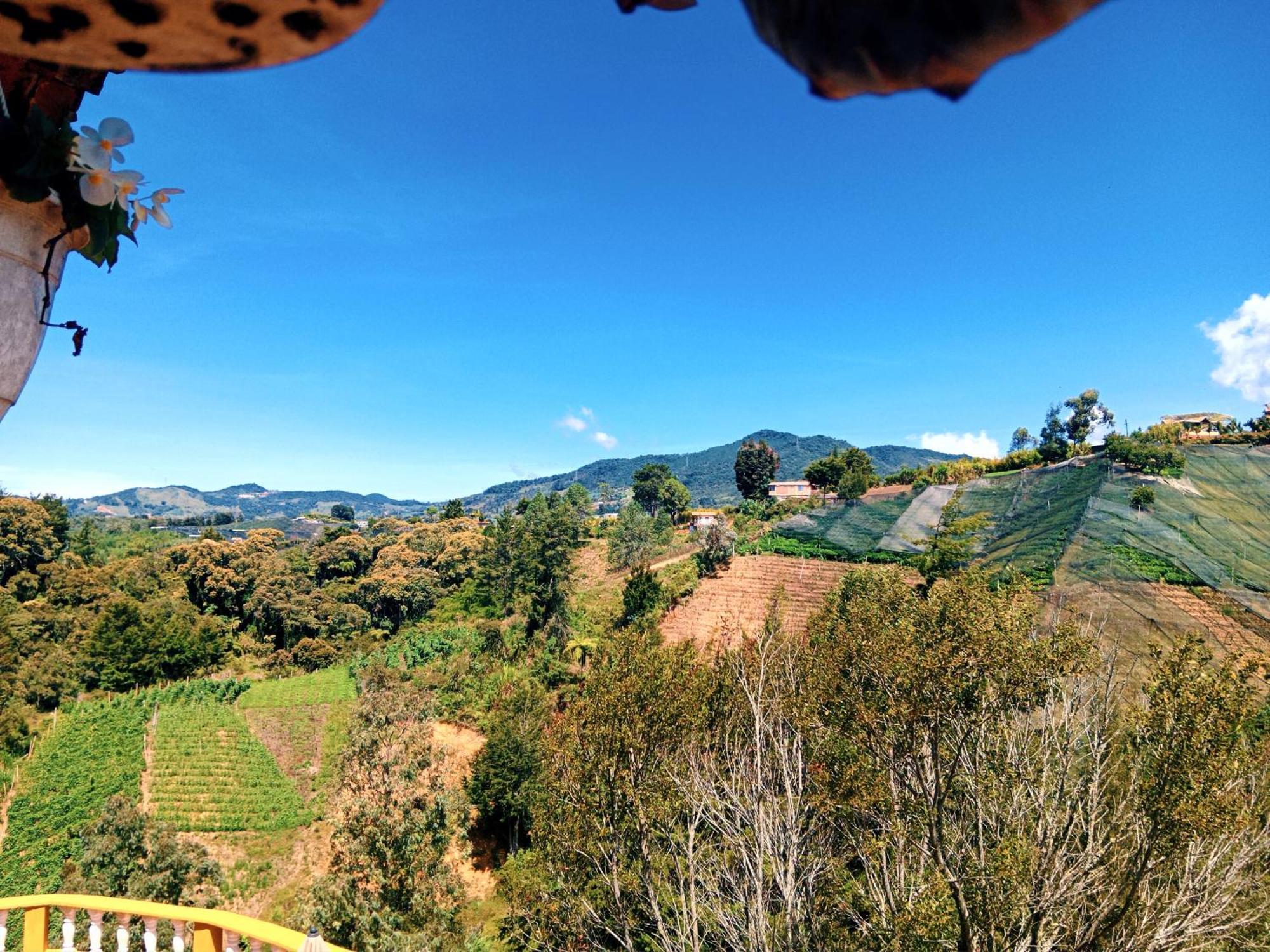 Vista Hermosa Eco Hostal Carmen de Viboral ภายนอก รูปภาพ